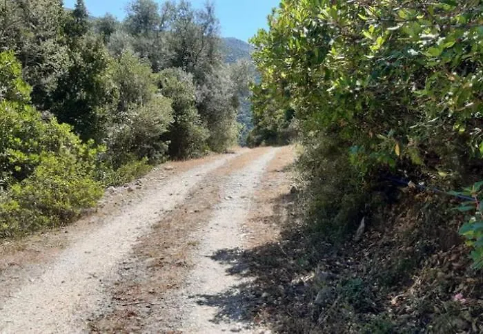 Yioka House Apartment *